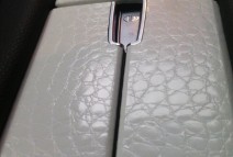 aligator white