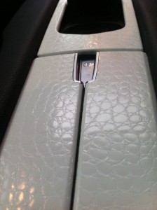 aligator white