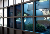 tinting-windows